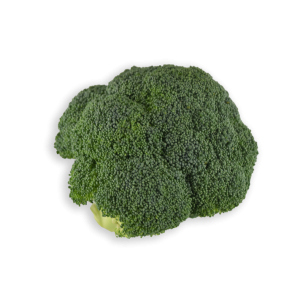 Broccoli (Avg 1.5lbs - 2 lbs)