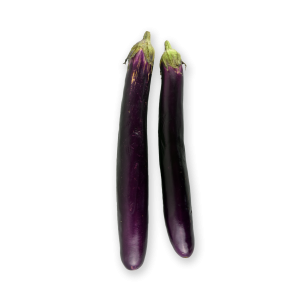 Chinese Eggplant / Japanese Eggplant