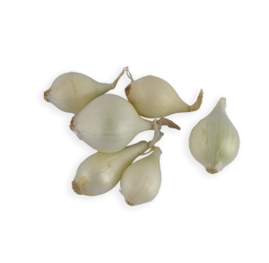 White Pearl Onion (Avg 12oz - 16oz)